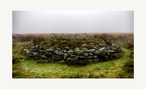 Barbrook cairns (Barrow / Cairn Cemetery)