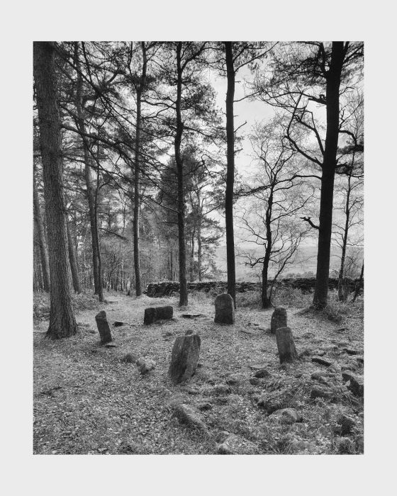Doll Tor (Stone Circle)