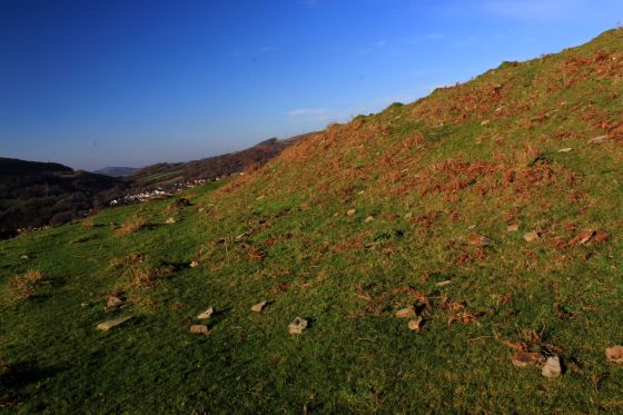 Pen-Y-Castell (Ancient Village / Settlement / Misc. Earthwork)