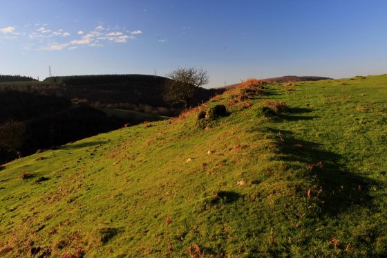 Pen-Y-Castell (Ancient Village / Settlement / Misc. Earthwork)