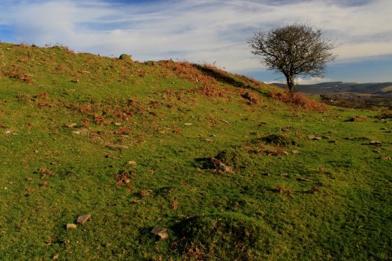 Pen-Y-Castell (Ancient Village / Settlement / Misc. Earthwork)