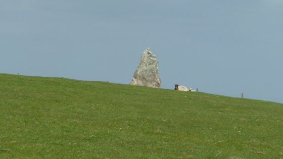 St Breock Downs Menhir