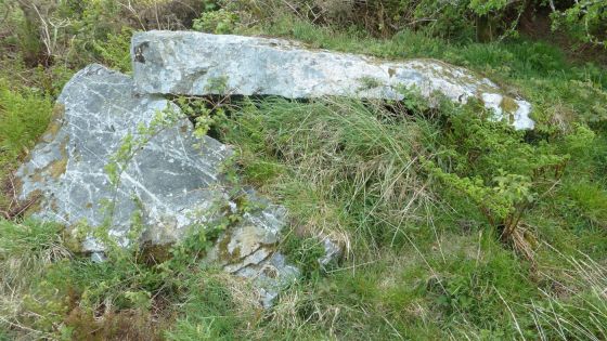 St Breock Beacon Kistvaen (Dolmen / Quoit / Cromlech)