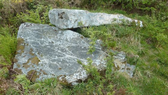 St Breock Beacon Kistvaen (Dolmen / Quoit / Cromlech)