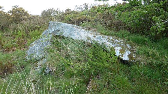 St Breock Beacon Kistvaen (Dolmen / Quoit / Cromlech)
