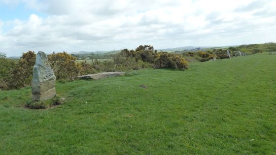 The Nine Maidens (Stone Row / Alignment)