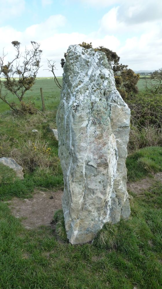 The Nine Maidens (Stone Row / Alignment)