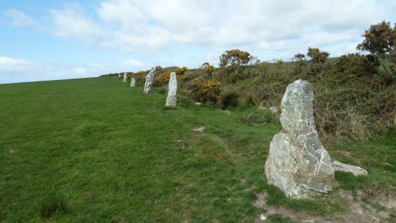 The Nine Maidens (Stone Row / Alignment)