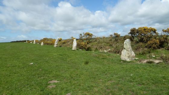 The Nine Maidens (Stone Row / Alignment)
