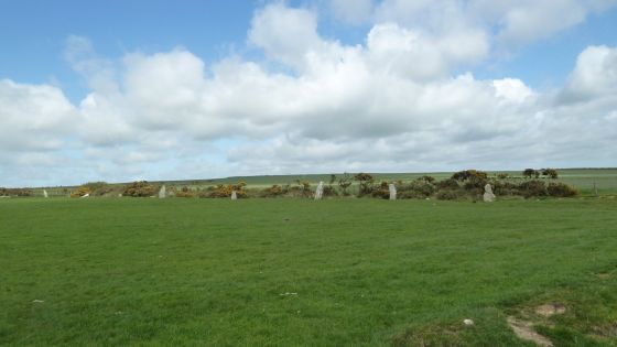 The Nine Maidens (Stone Row / Alignment)