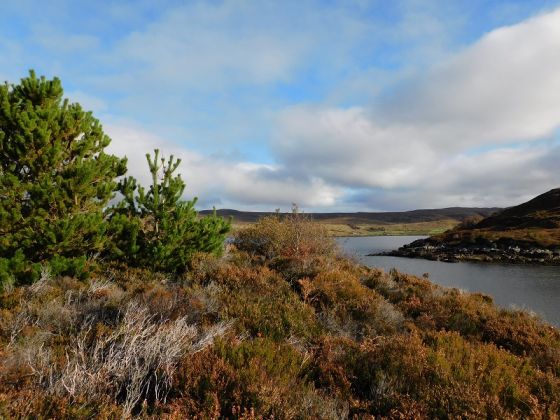 Dun Touraig