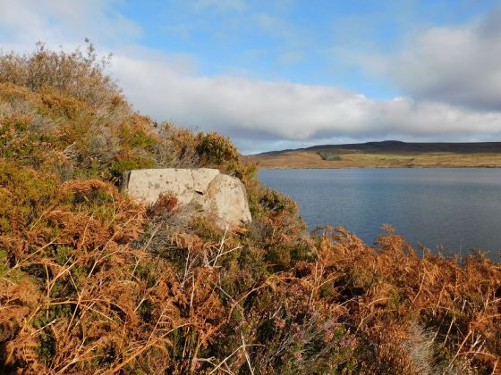 Scotland