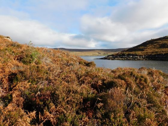 Dun Touraig