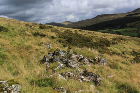 Moel Caws Settlement