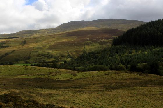Moel Caws Settlement