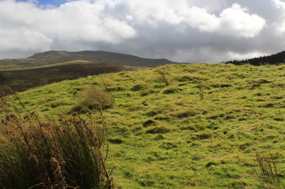 Moel Caws (SouthEast) (Barrow / Cairn Cemetery)