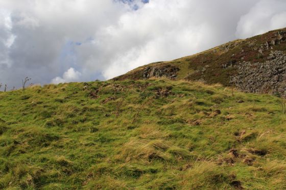 Moel Caws (SouthEast) (Barrow / Cairn Cemetery)