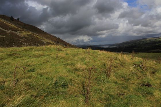 Moel Caws (SouthEast) (Barrow / Cairn Cemetery)