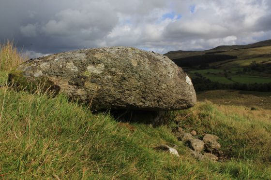 Moel Caws (SouthEast) (Barrow / Cairn Cemetery)