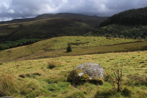 Moel Caws (SouthEast) (Barrow / Cairn Cemetery)