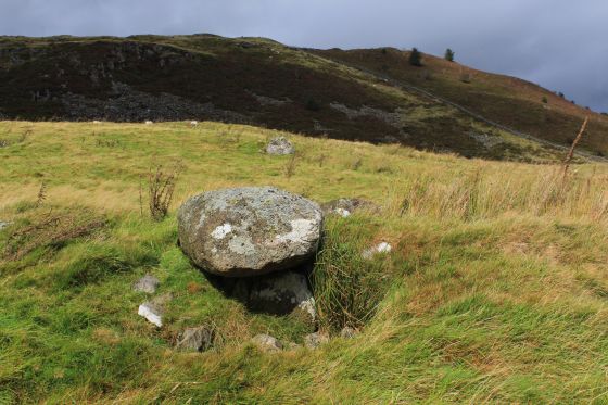 Moel Caws (SouthEast) (Barrow / Cairn Cemetery)