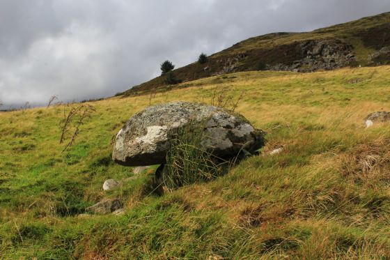 Moel Caws (SouthEast) (Barrow / Cairn Cemetery)