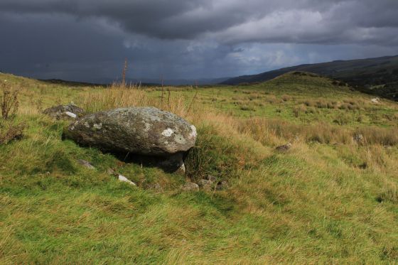 Moel Caws (SouthEast) (Barrow / Cairn Cemetery)