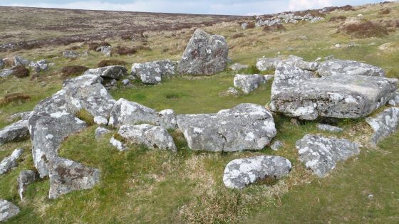 Grimspound & Hookney Tor