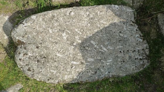 Grimspound & Hookney Tor