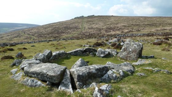 Grimspound & Hookney Tor