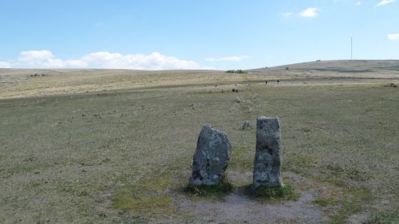 The Plague Market At Merrivale (Multiple Stone Rows / Avenue)