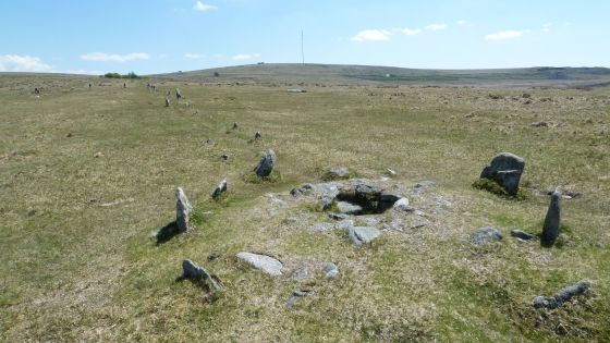 The Plague Market At Merrivale (Multiple Stone Rows / Avenue)