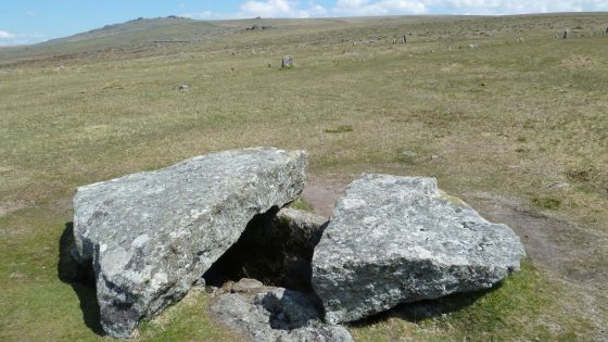 The Plague Market At Merrivale (Multiple Stone Rows / Avenue)