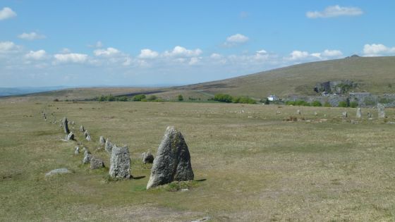 The Plague Market At Merrivale (Multiple Stone Rows / Avenue)