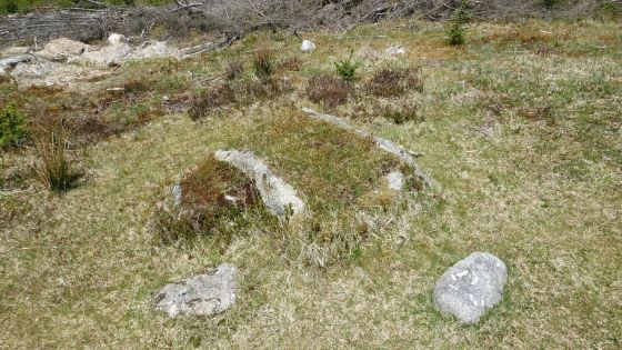 Lakehead Hill (Stone Row / Alignment)