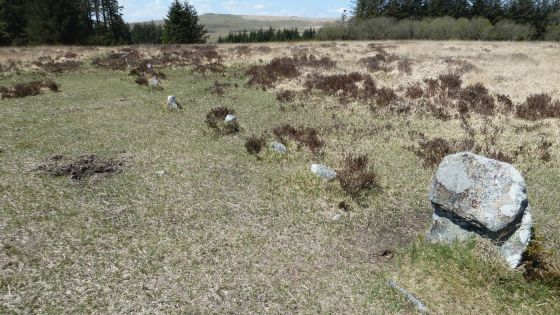 Lakehead Hill (Stone Row / Alignment)