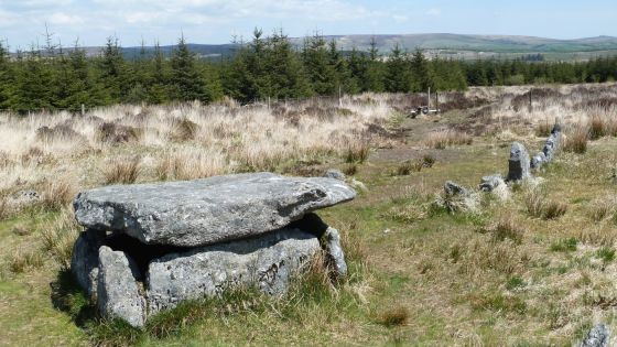 Lakehead Hill (Stone Row / Alignment)