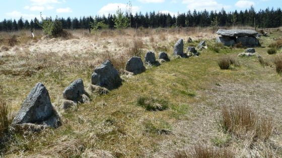 Lakehead Hill (Stone Row / Alignment)