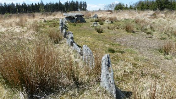 Lakehead Hill (Stone Row / Alignment)