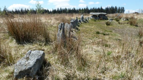 Lakehead Hill (Stone Row / Alignment)
