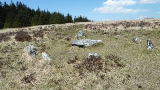 Lakehead Hill (Stone Row / Alignment)