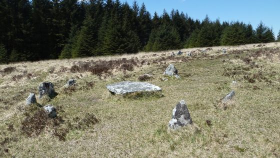 Lakehead Hill (Stone Row / Alignment)