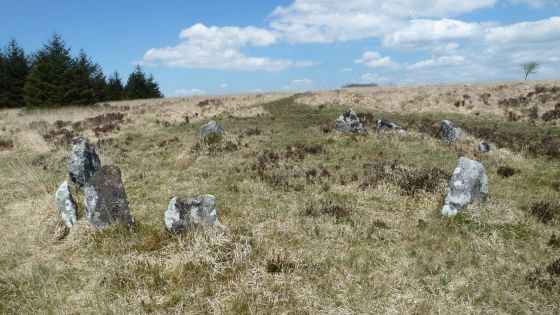 Lakehead Hill (Stone Row / Alignment)