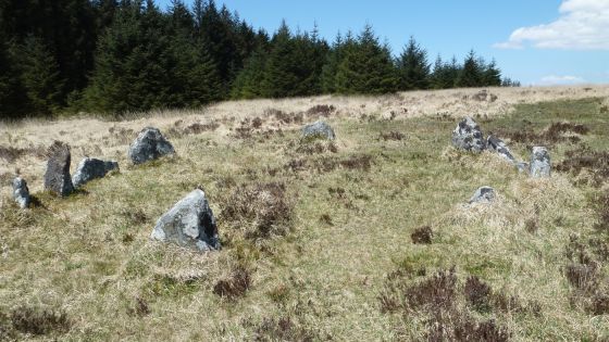 Lakehead Hill (Stone Row / Alignment)