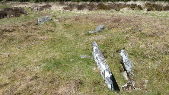 Lakehead Hill (Stone Row / Alignment)