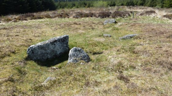 Lakehead Hill (Stone Row / Alignment)