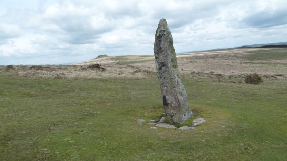 Shovel Down & The Long Stone (Multiple Stone Rows / Avenue)