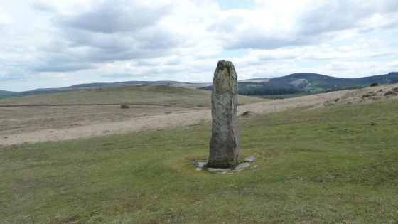 Shovel Down & The Long Stone (Multiple Stone Rows / Avenue)