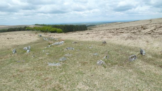 Shovel Down & The Long Stone (Multiple Stone Rows / Avenue)