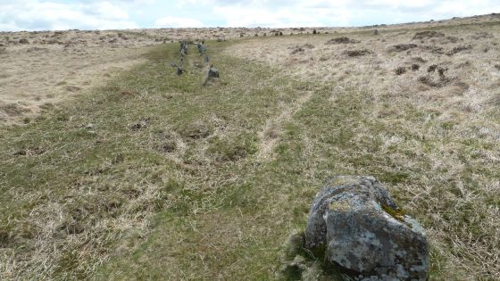 Shovel Down & The Long Stone (Multiple Stone Rows / Avenue)